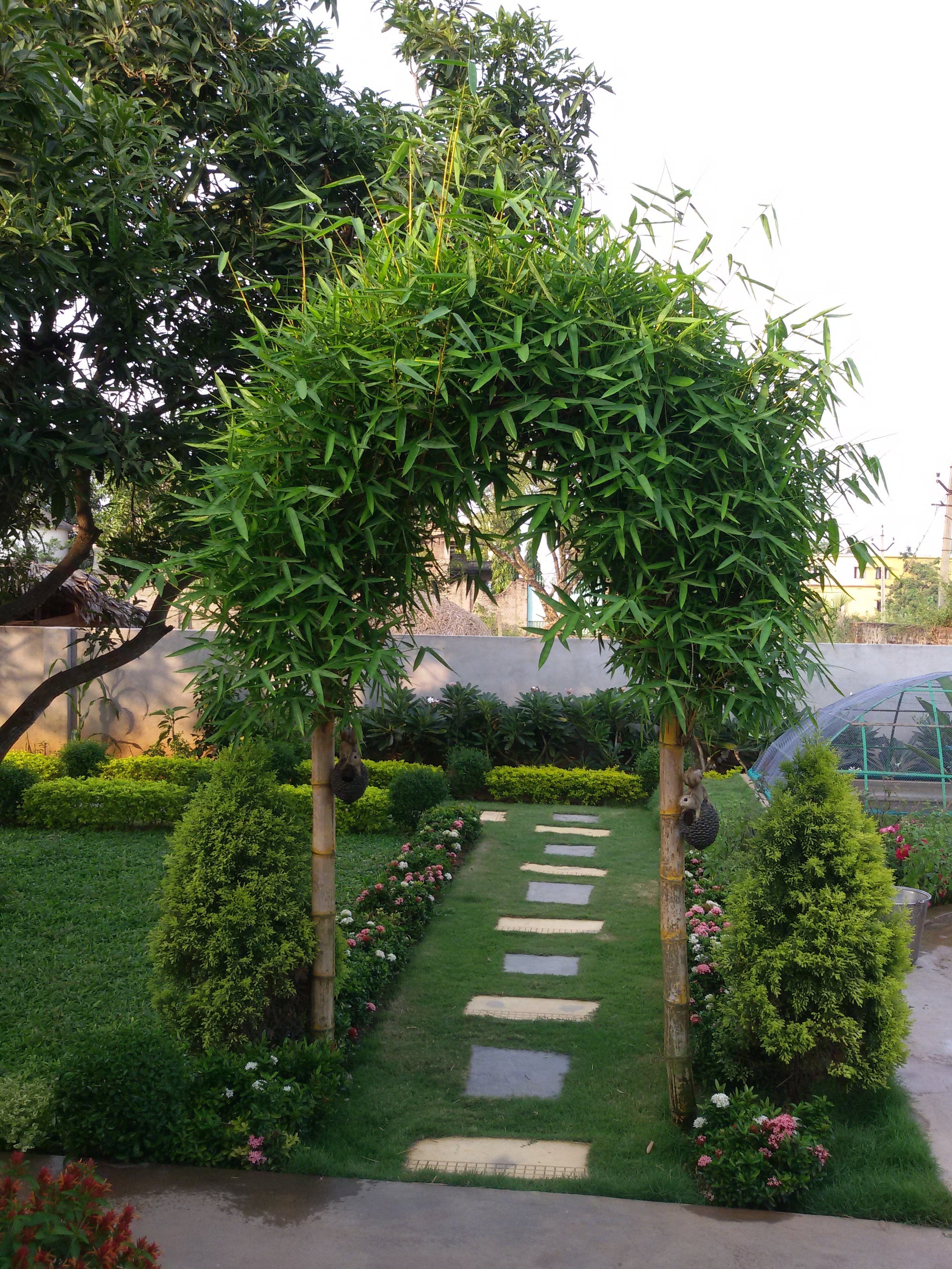 VGC Landscape Project 169