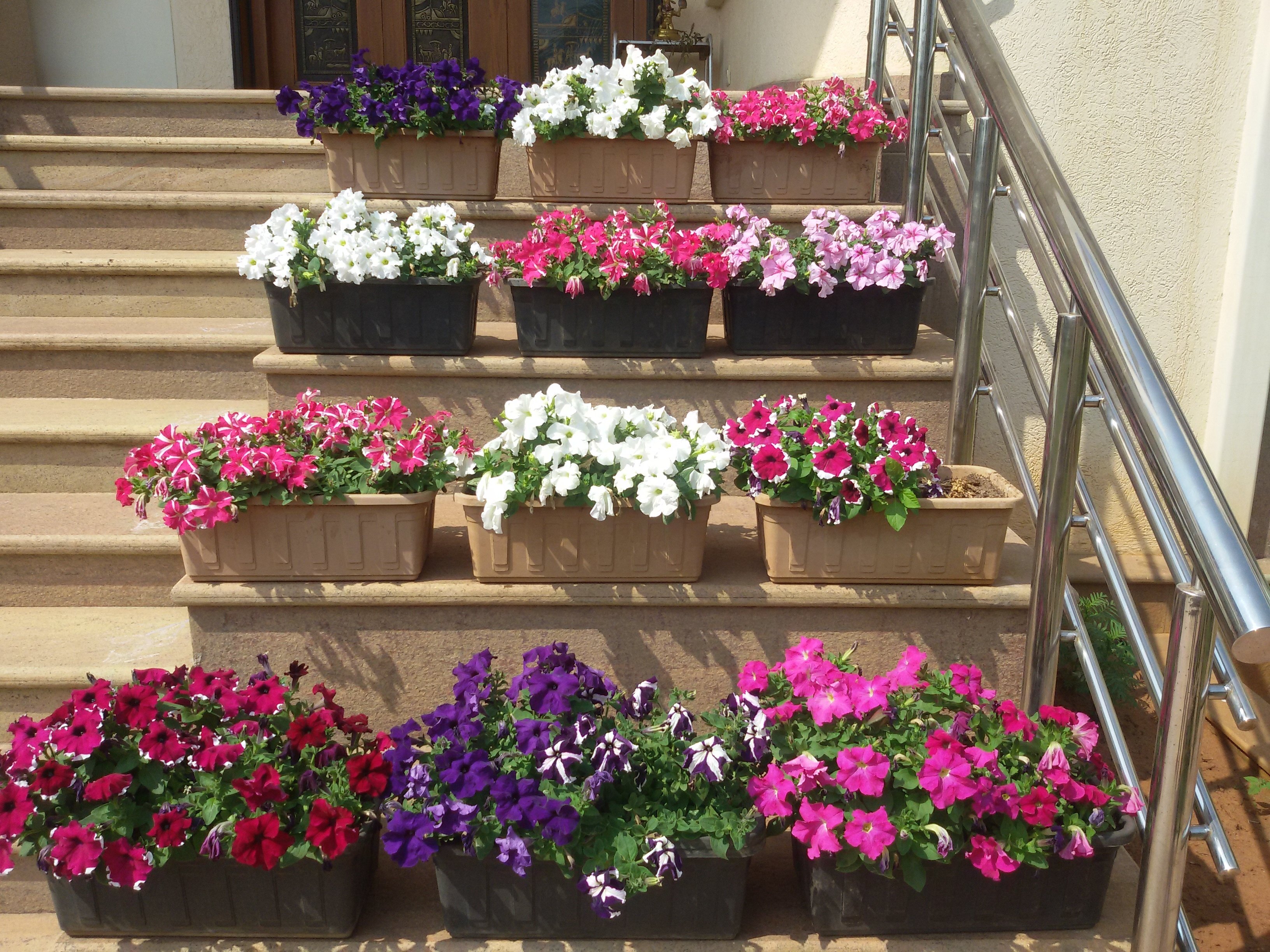 VGC Landscape Project 170