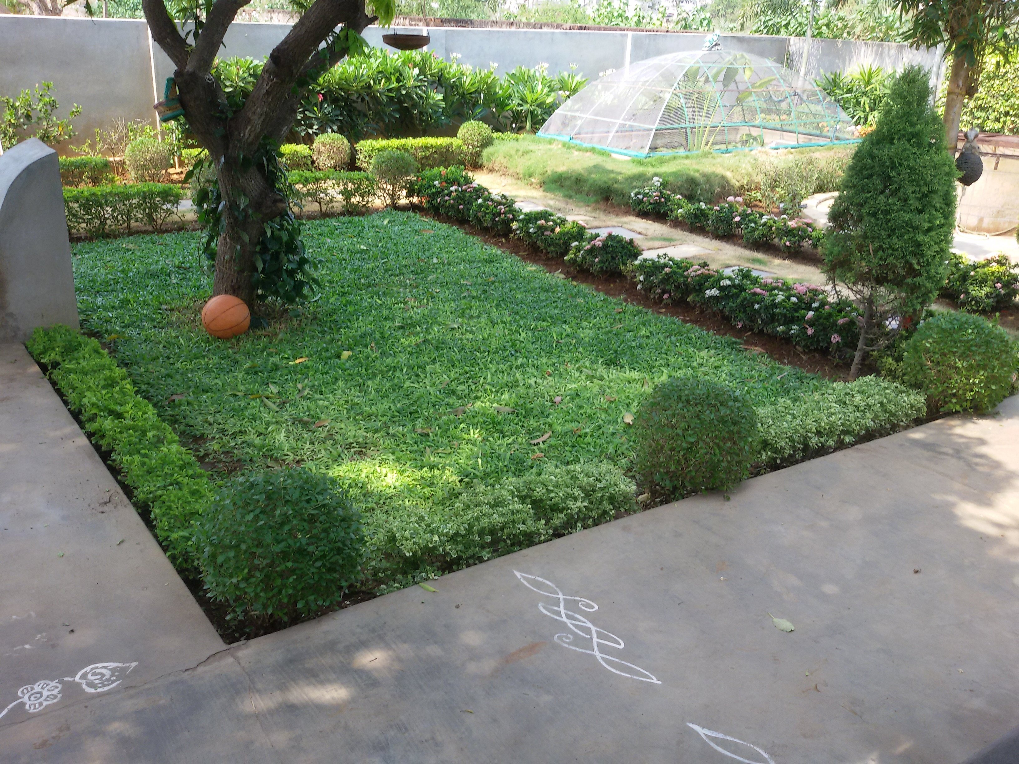 VGC Landscape Project 172