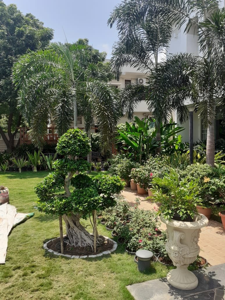 VGC Landscape Project 180