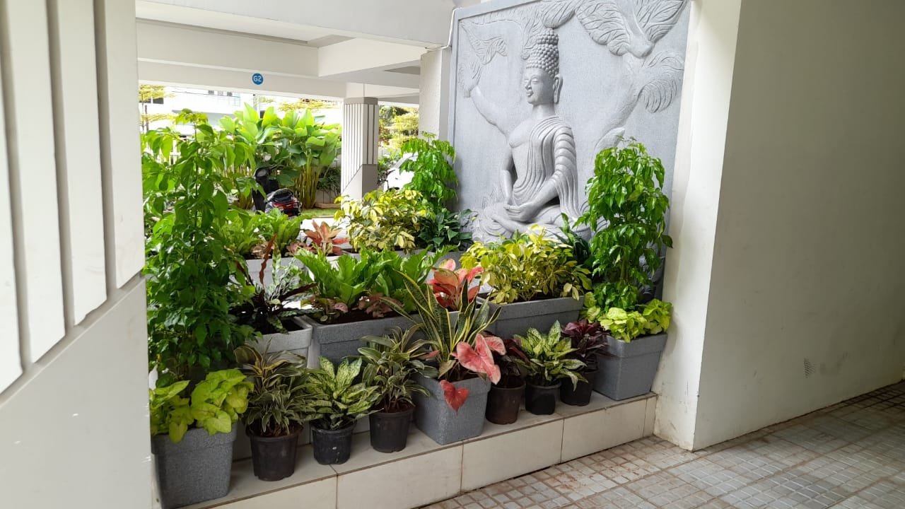 VGC Landscape Project 187