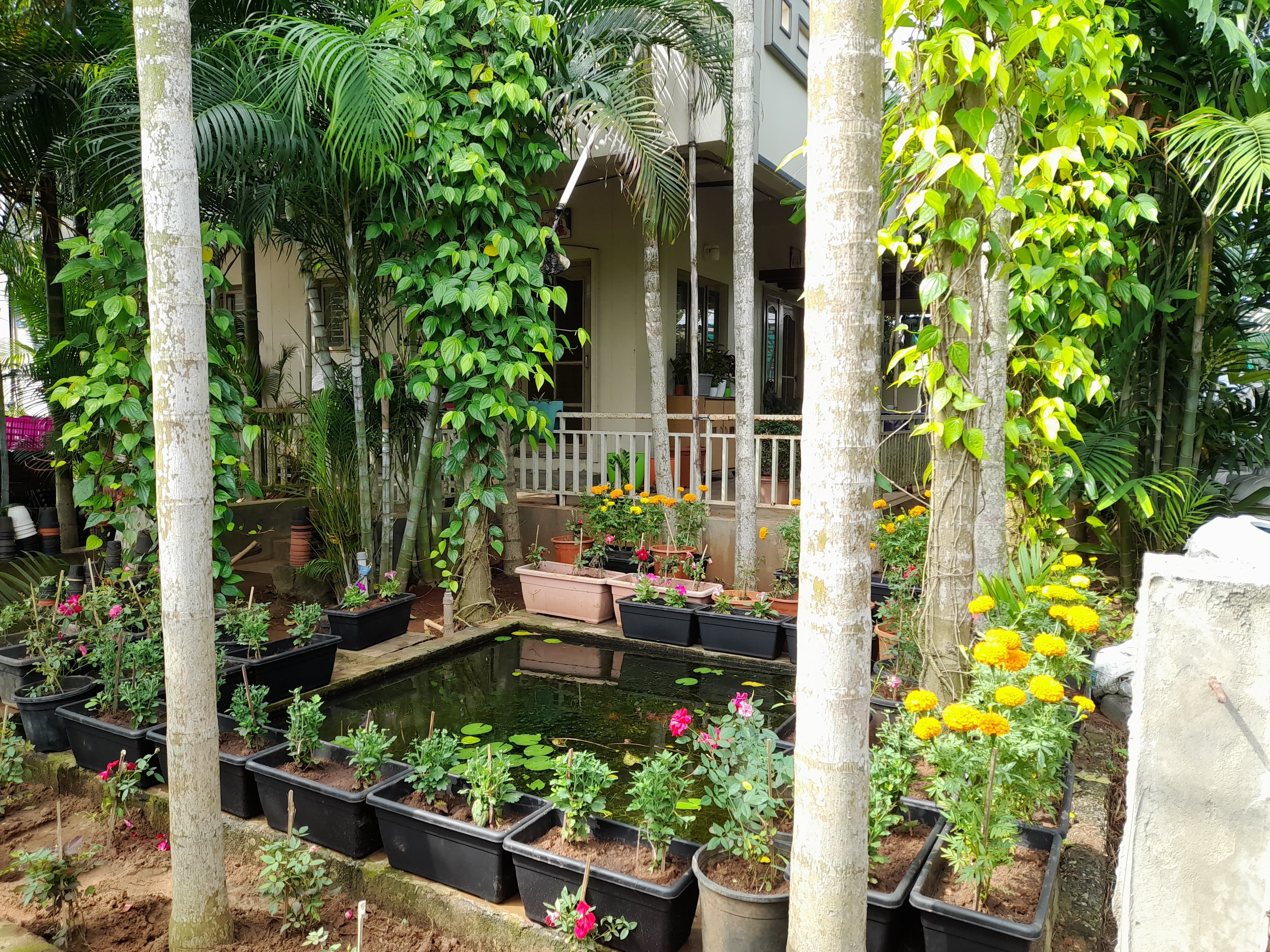 VGC Landscape Project 194