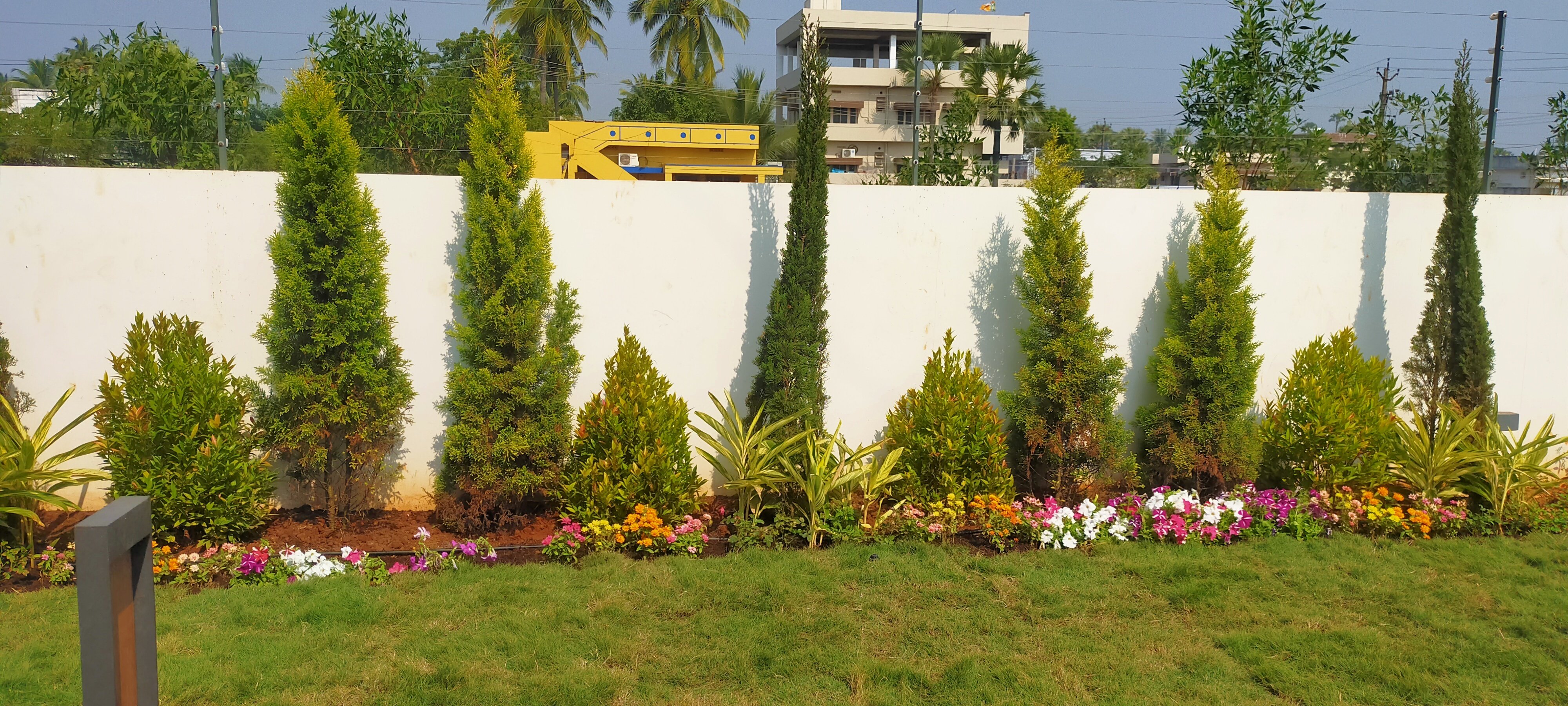 VGC Landscape Project 196