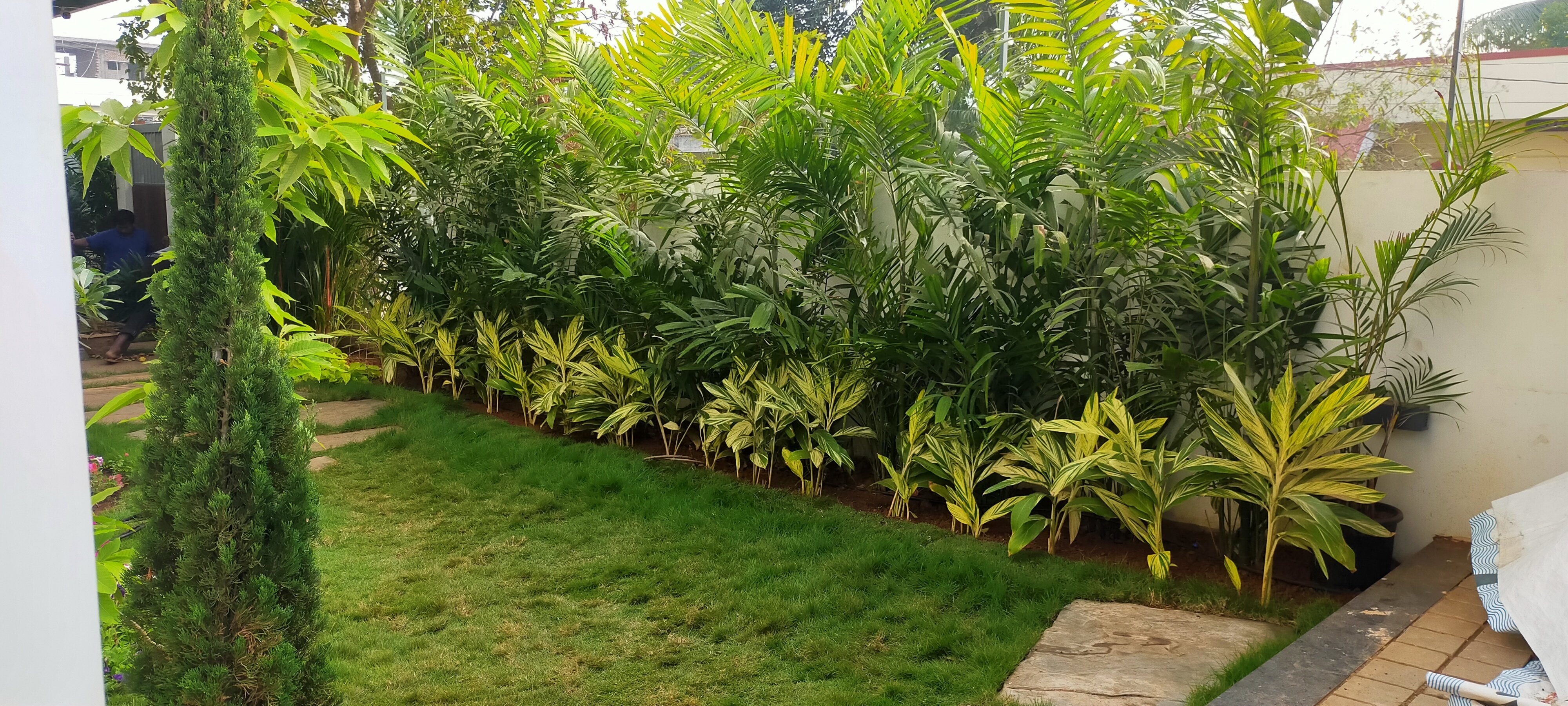 VGC Landscape Project 197