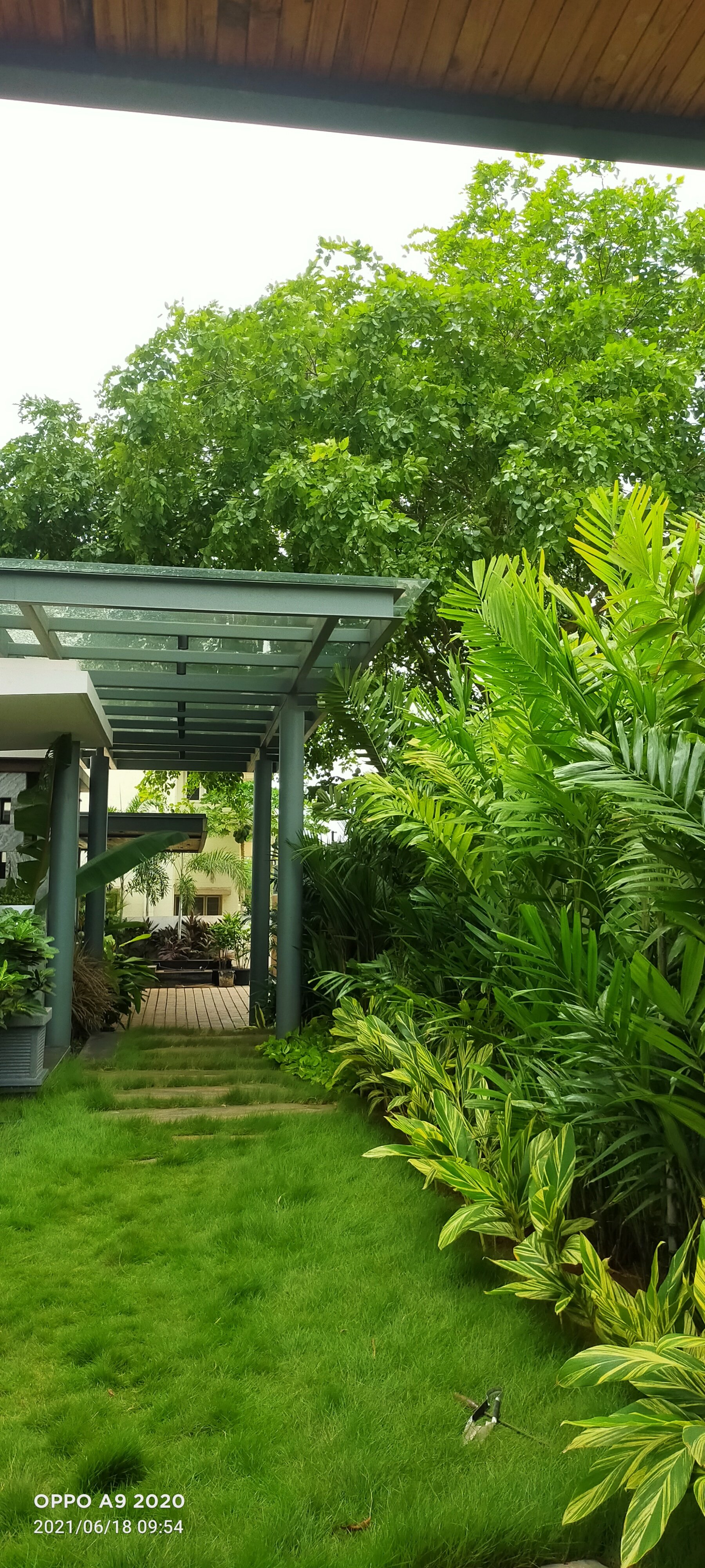 VGC Landscape Project 200