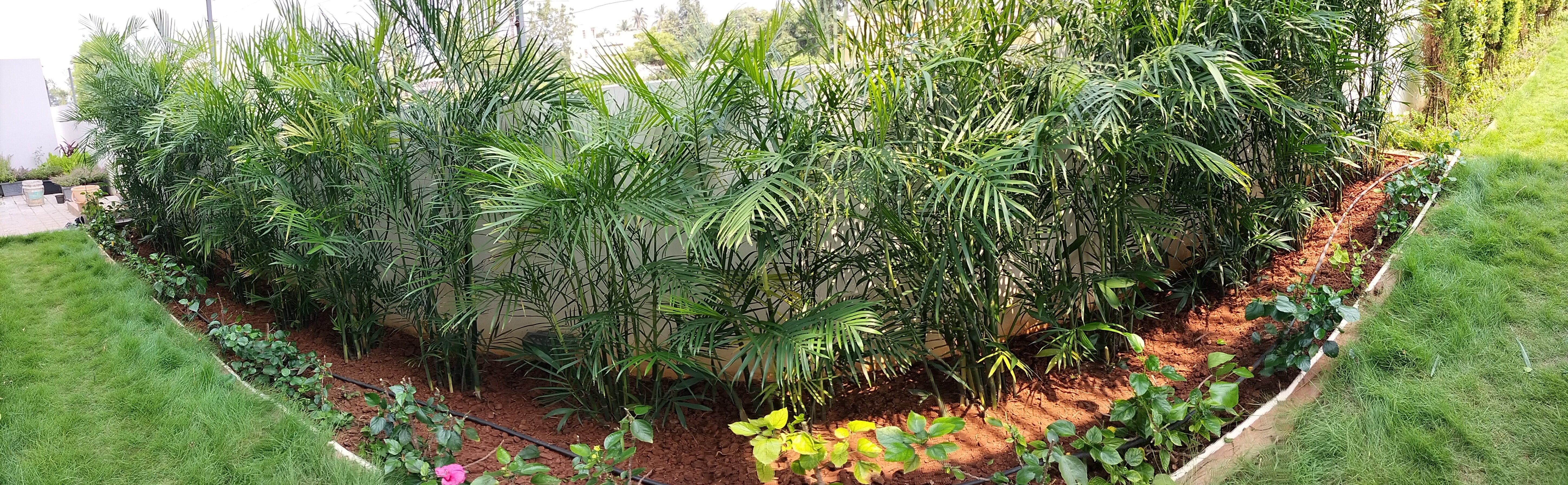 VGC Landscape Project 203