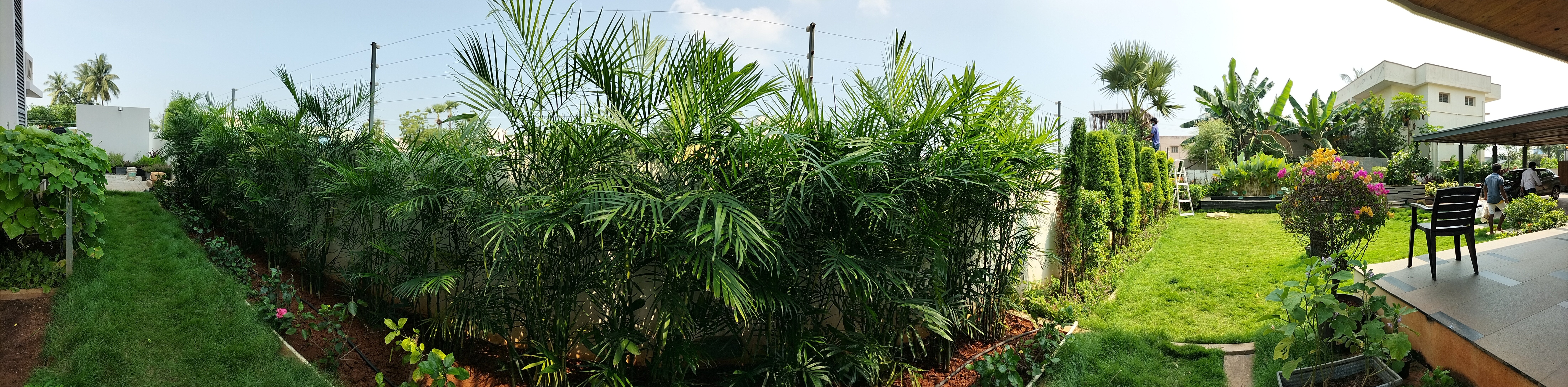 VGC Landscape Project 204