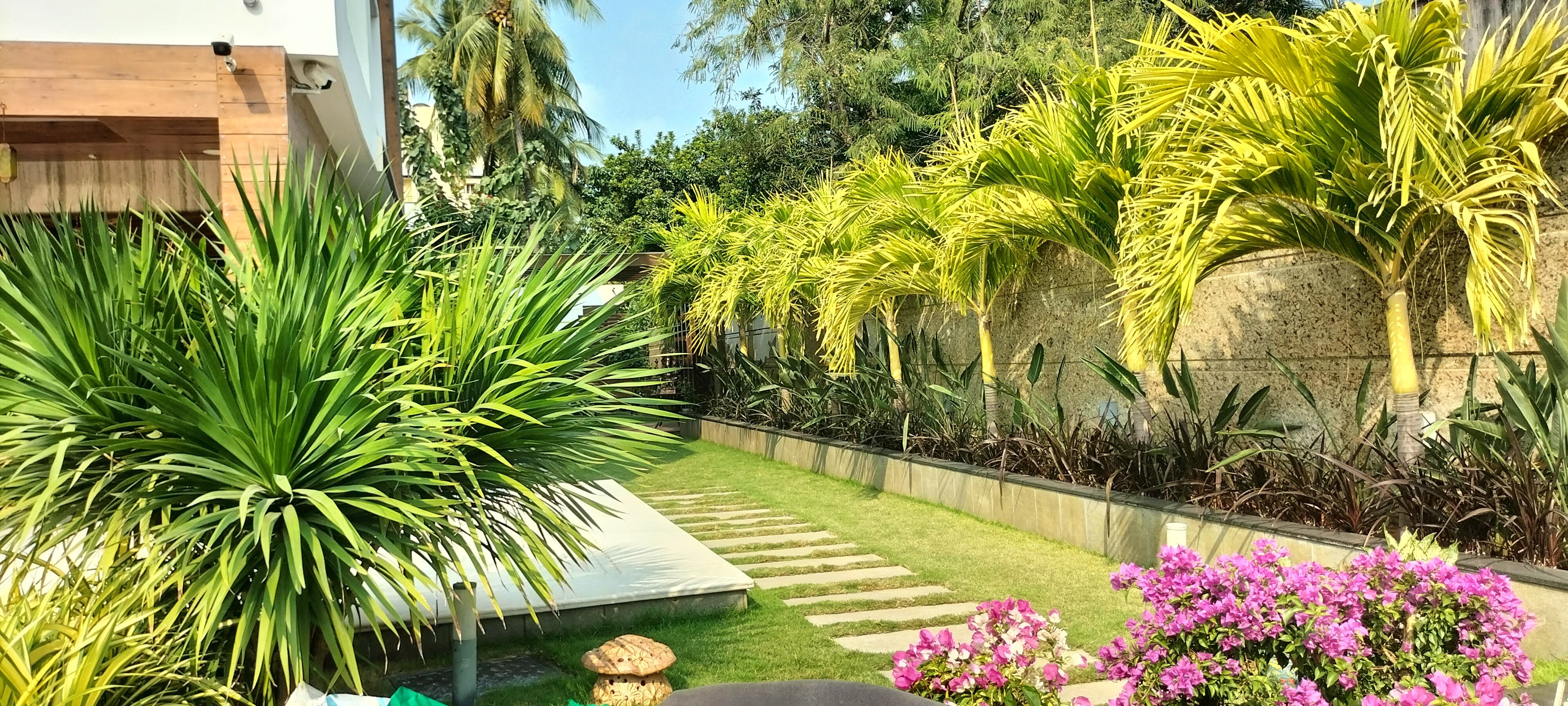 VGC Landscape Project 209