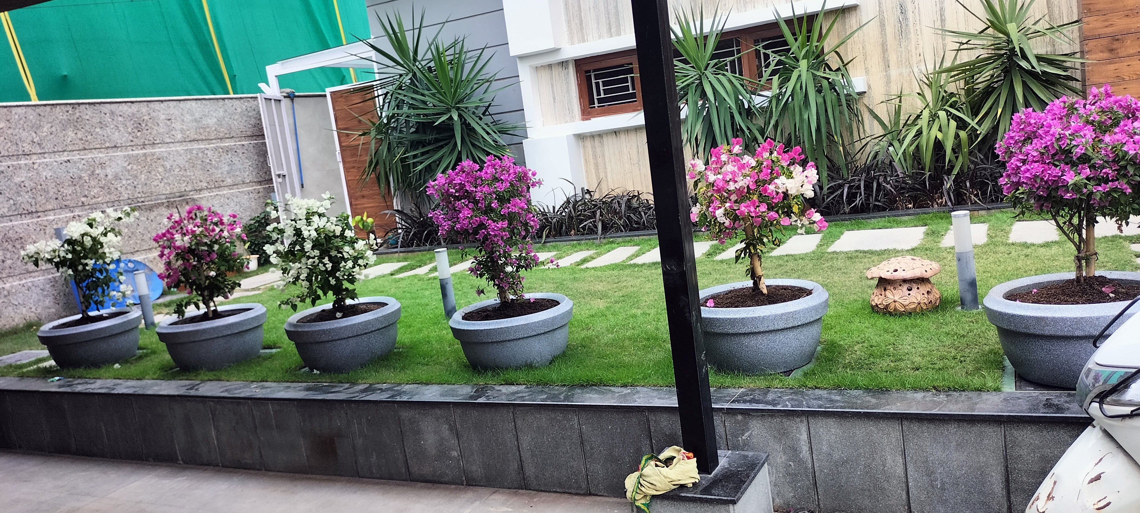 VGC Landscape Project 211