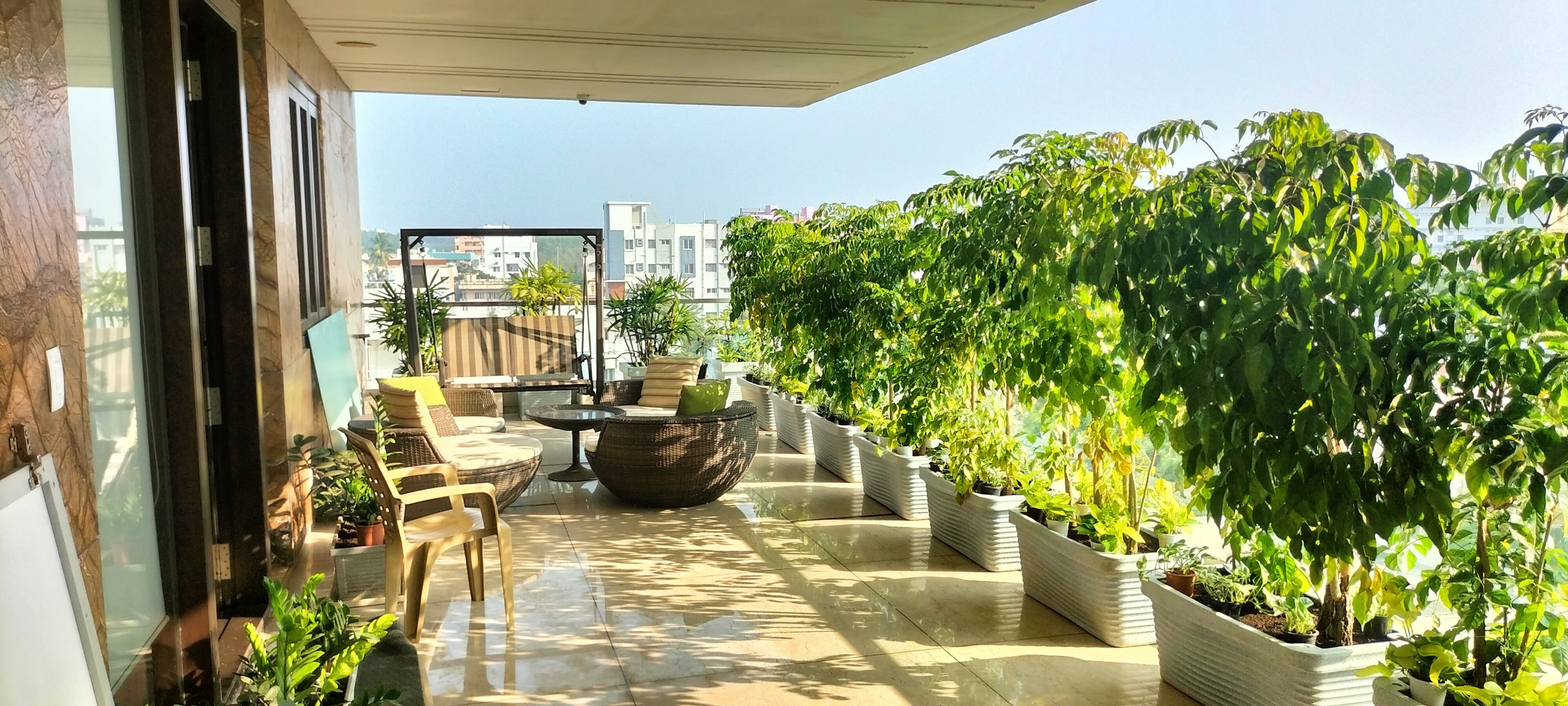 VGC Landscape Project 215