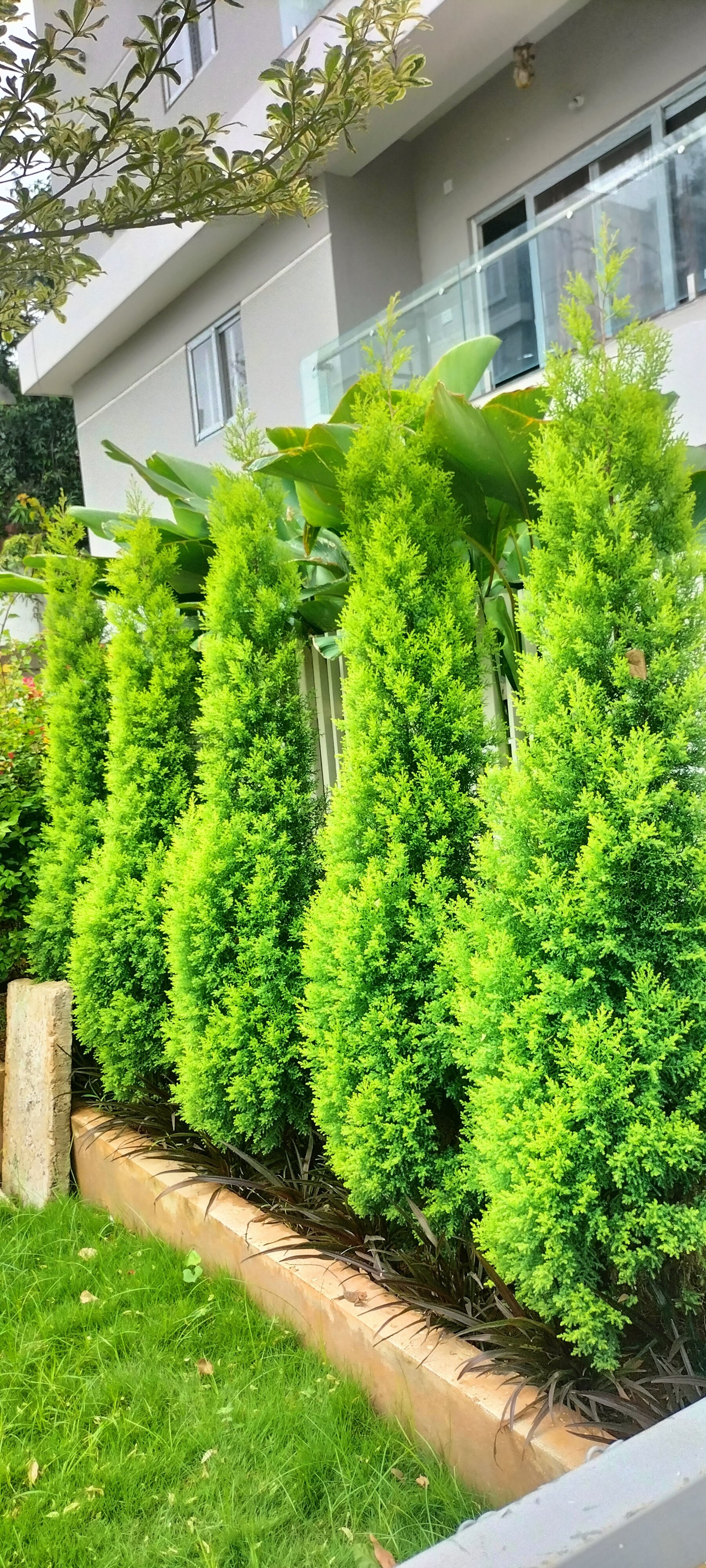 VGC Landscape Project 216