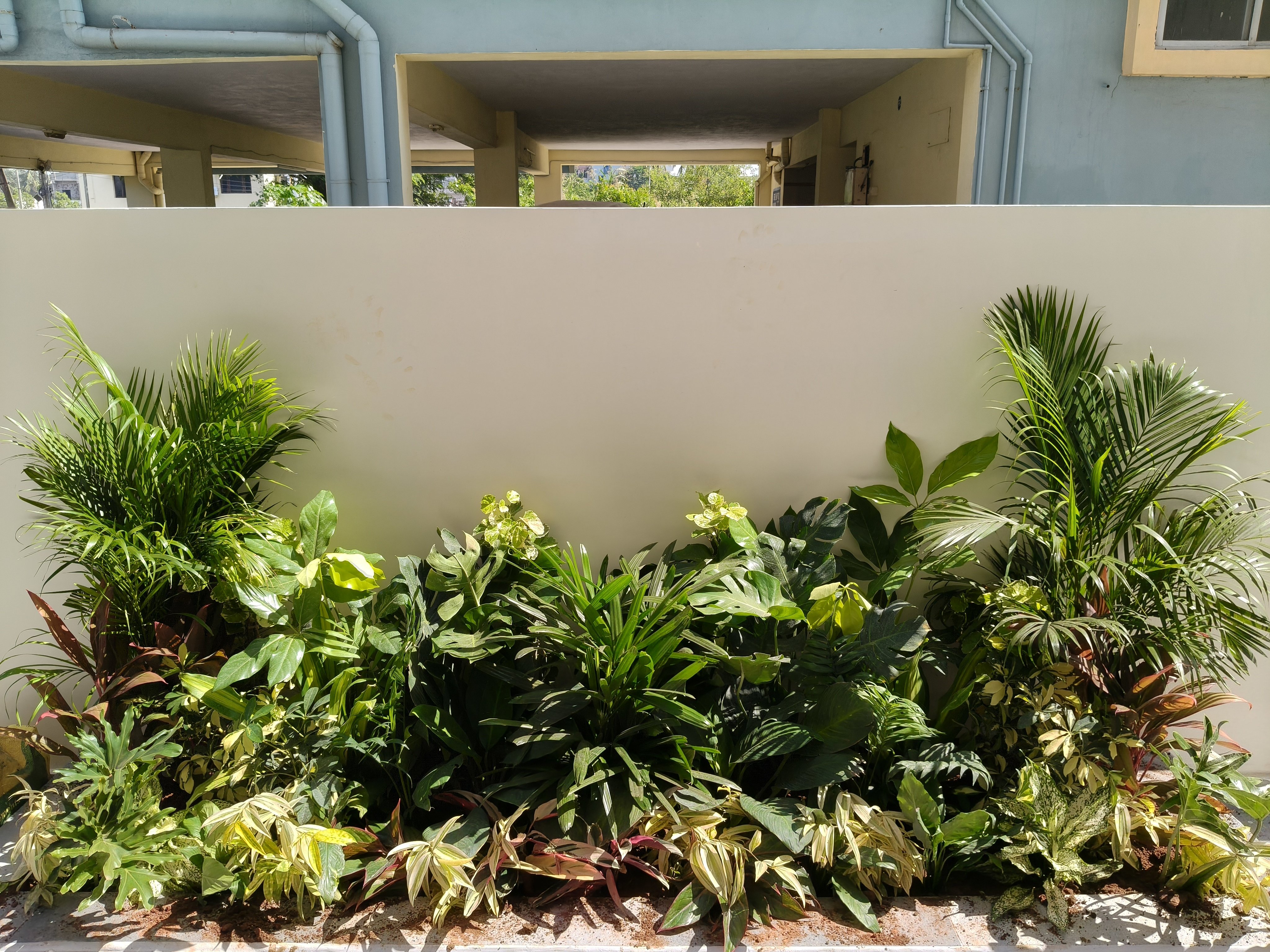 VGC Landscape Project 218