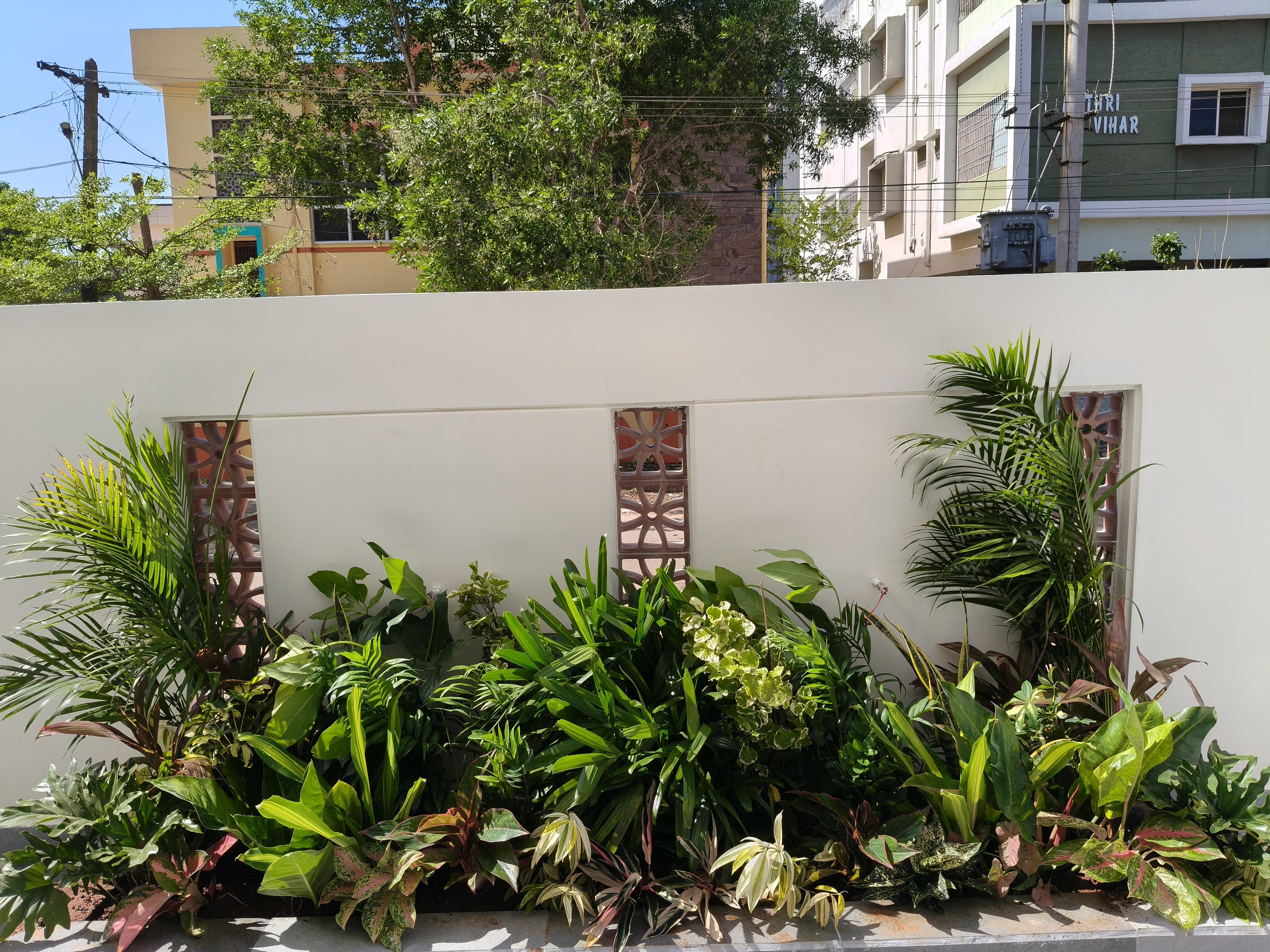 VGC Landscape Project 219