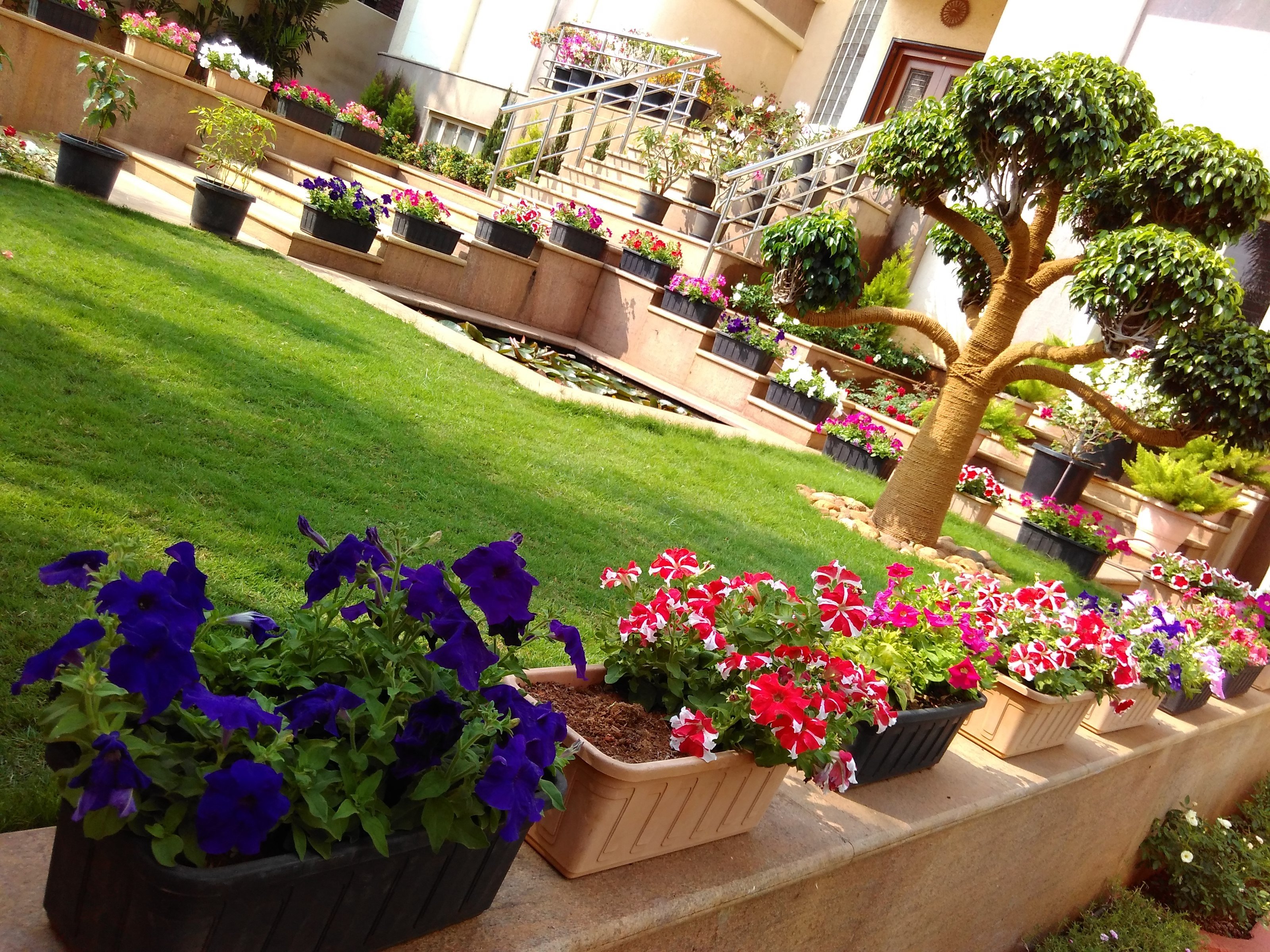 VGC Landscape Project 222