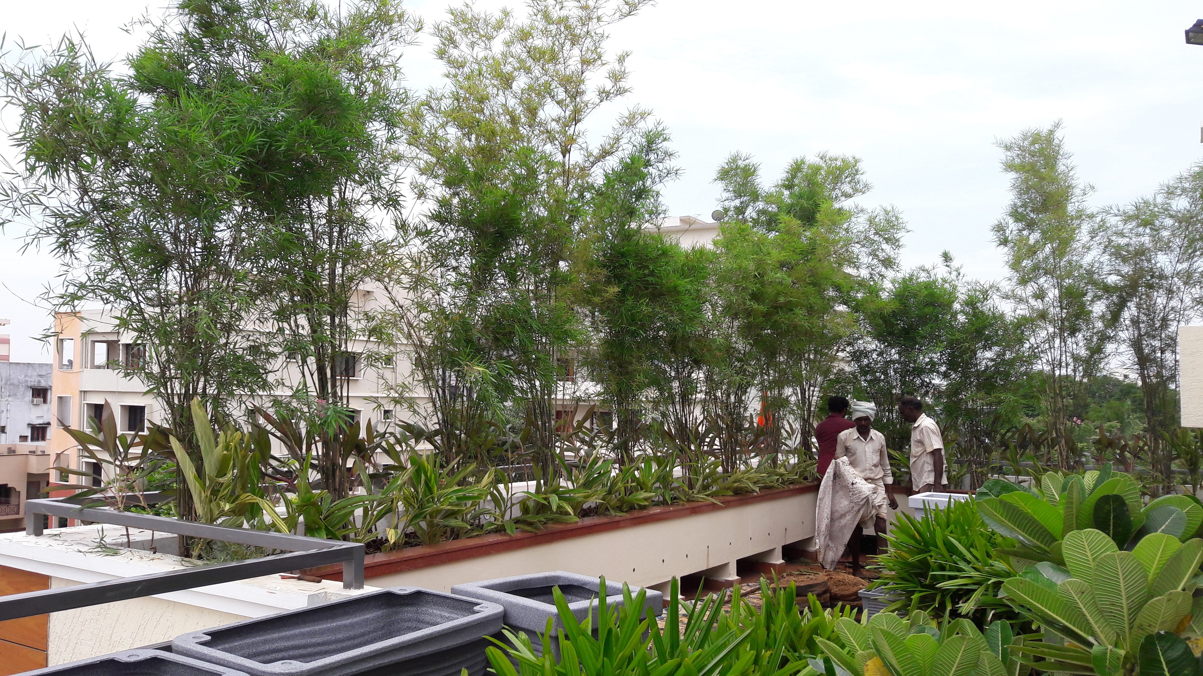 VGC Landscape Project 226