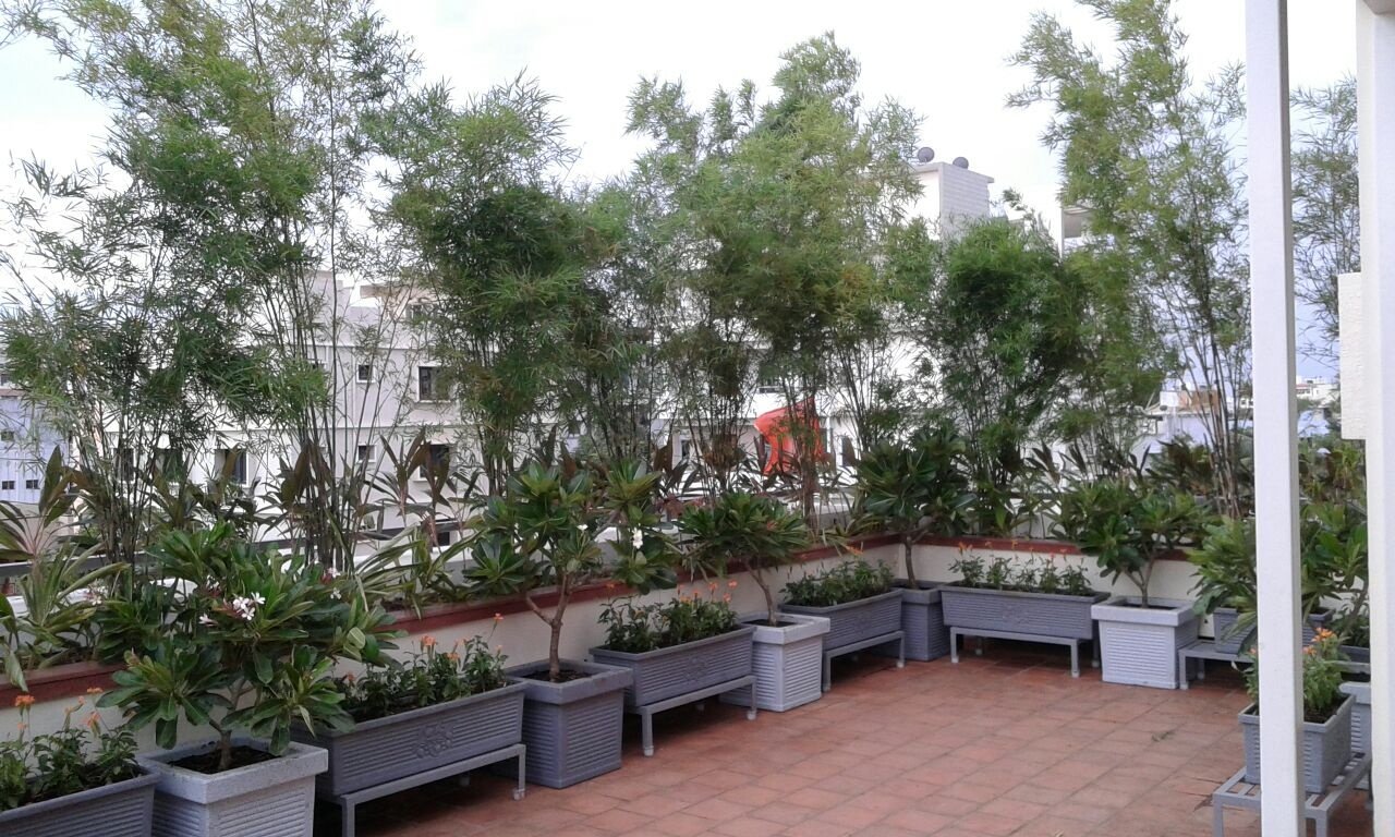 VGC Landscape Project 228