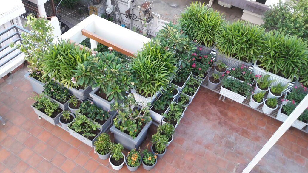 VGC Landscape Project 229