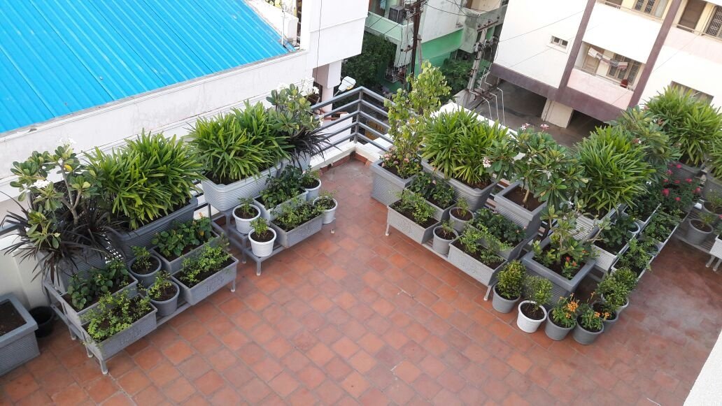 VGC Landscape Project 230