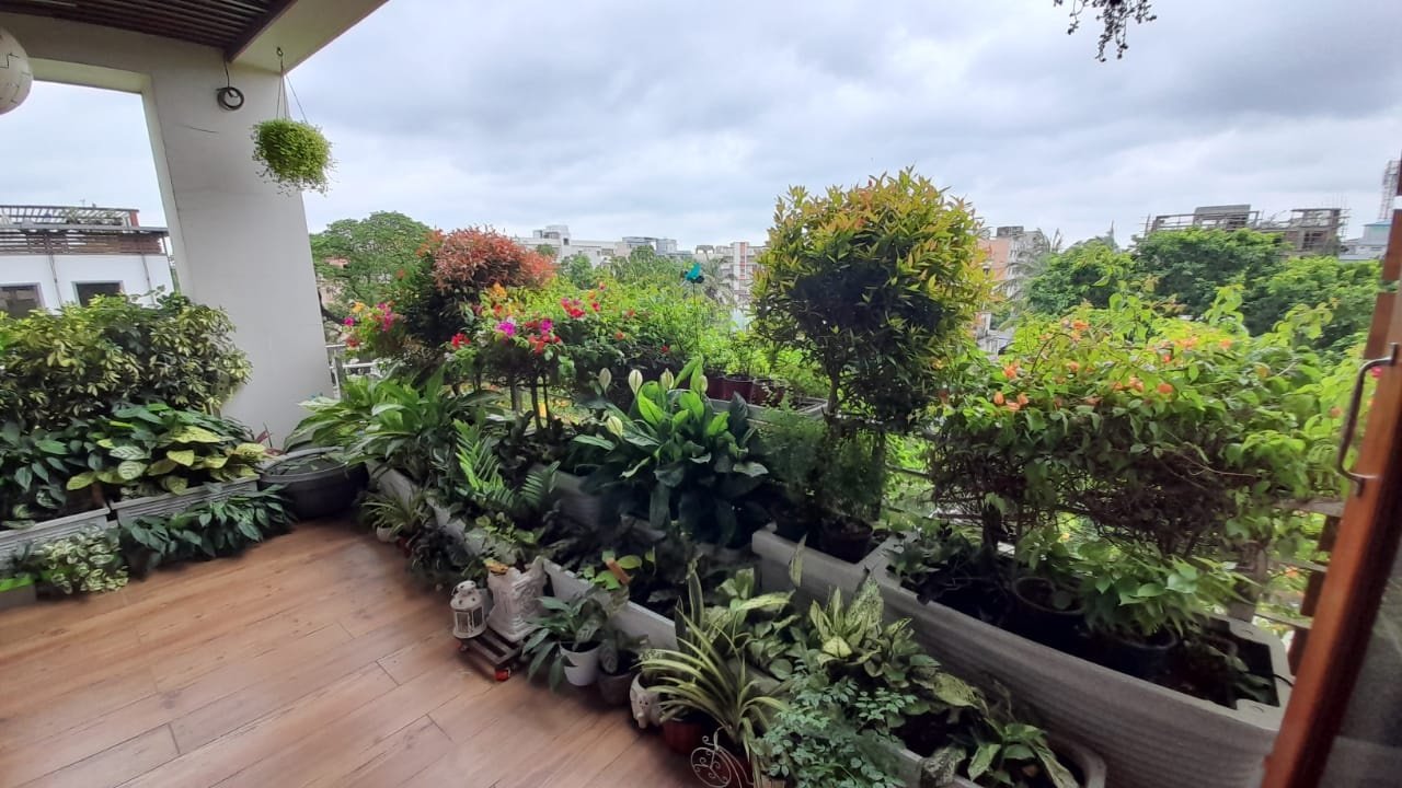 VGC Landscape Project 234