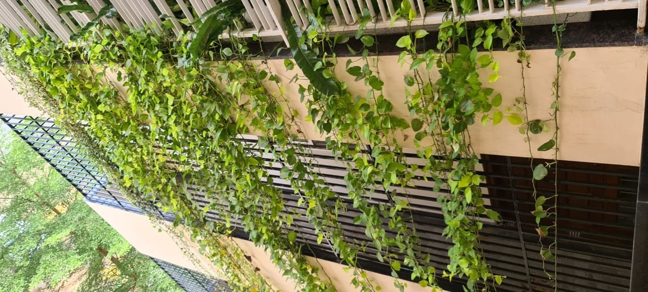 VGC Landscape Project 235