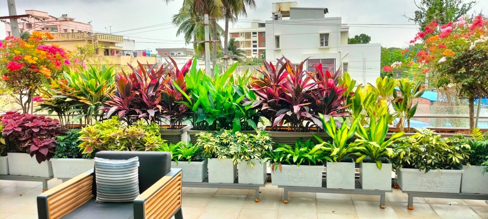 VGC Landscape Project 238