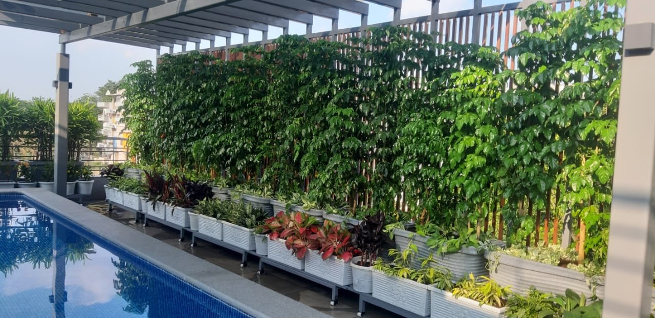 VGC Landscape Project 239