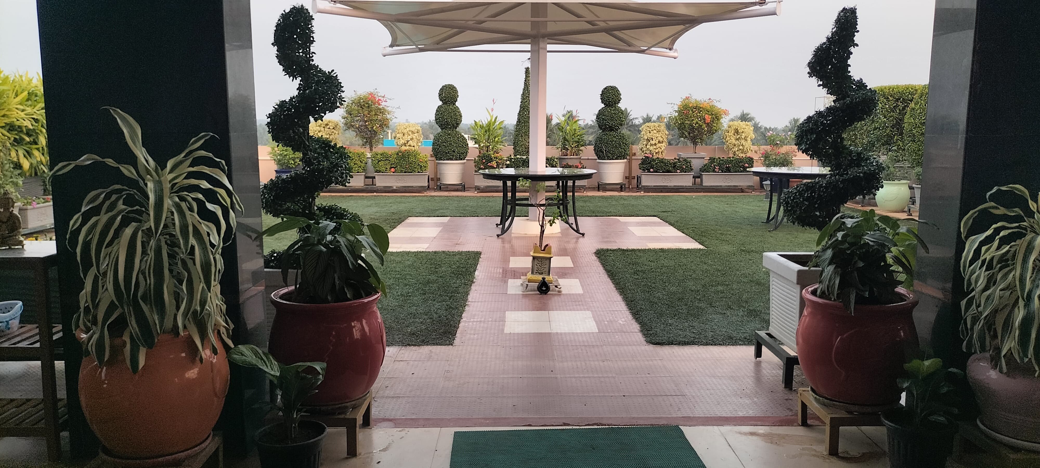 VGC Landscape Project 245