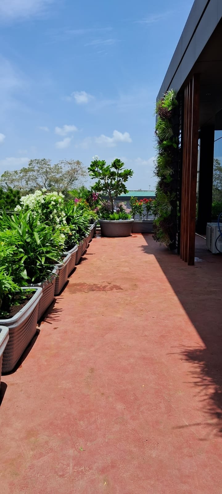 VGC Landscape Project 248