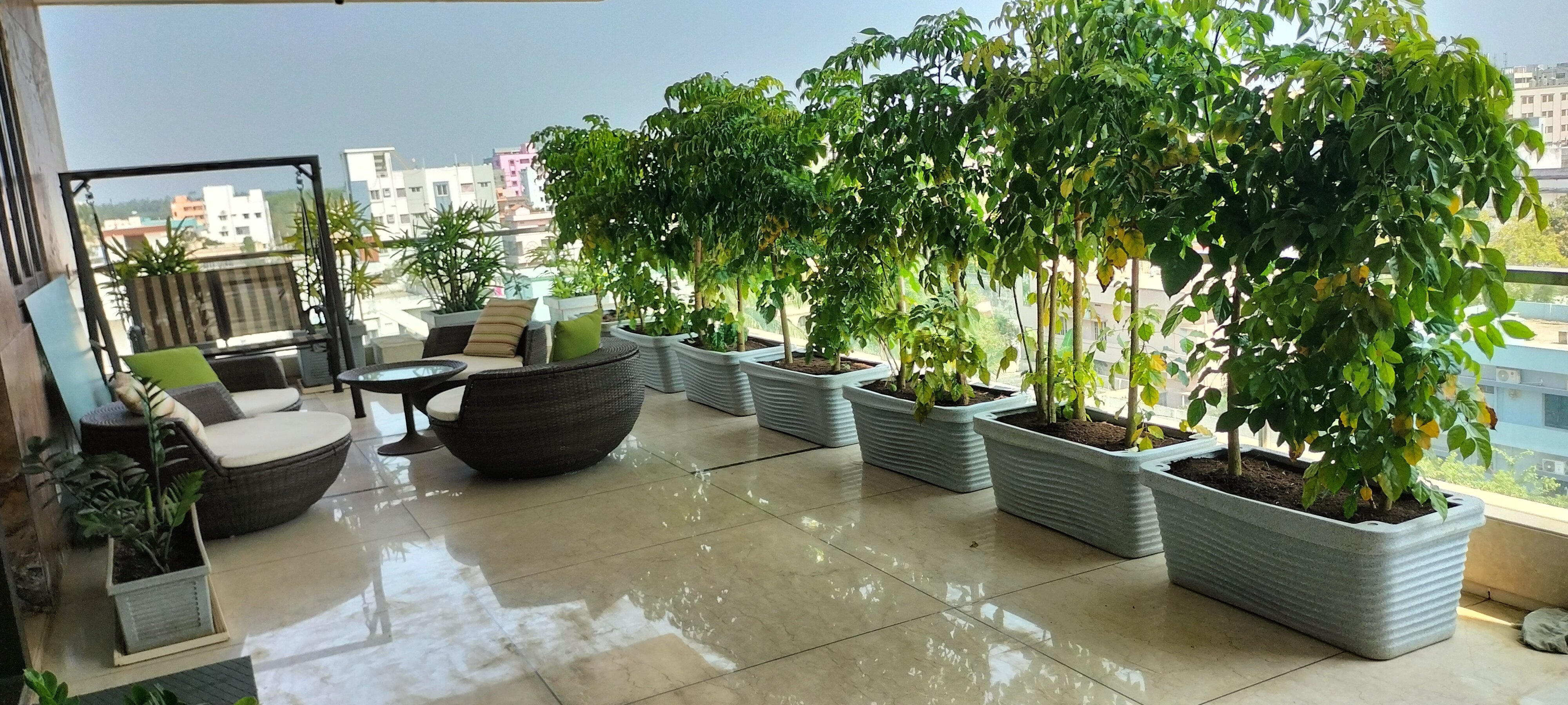 VGC Landscape Project 251