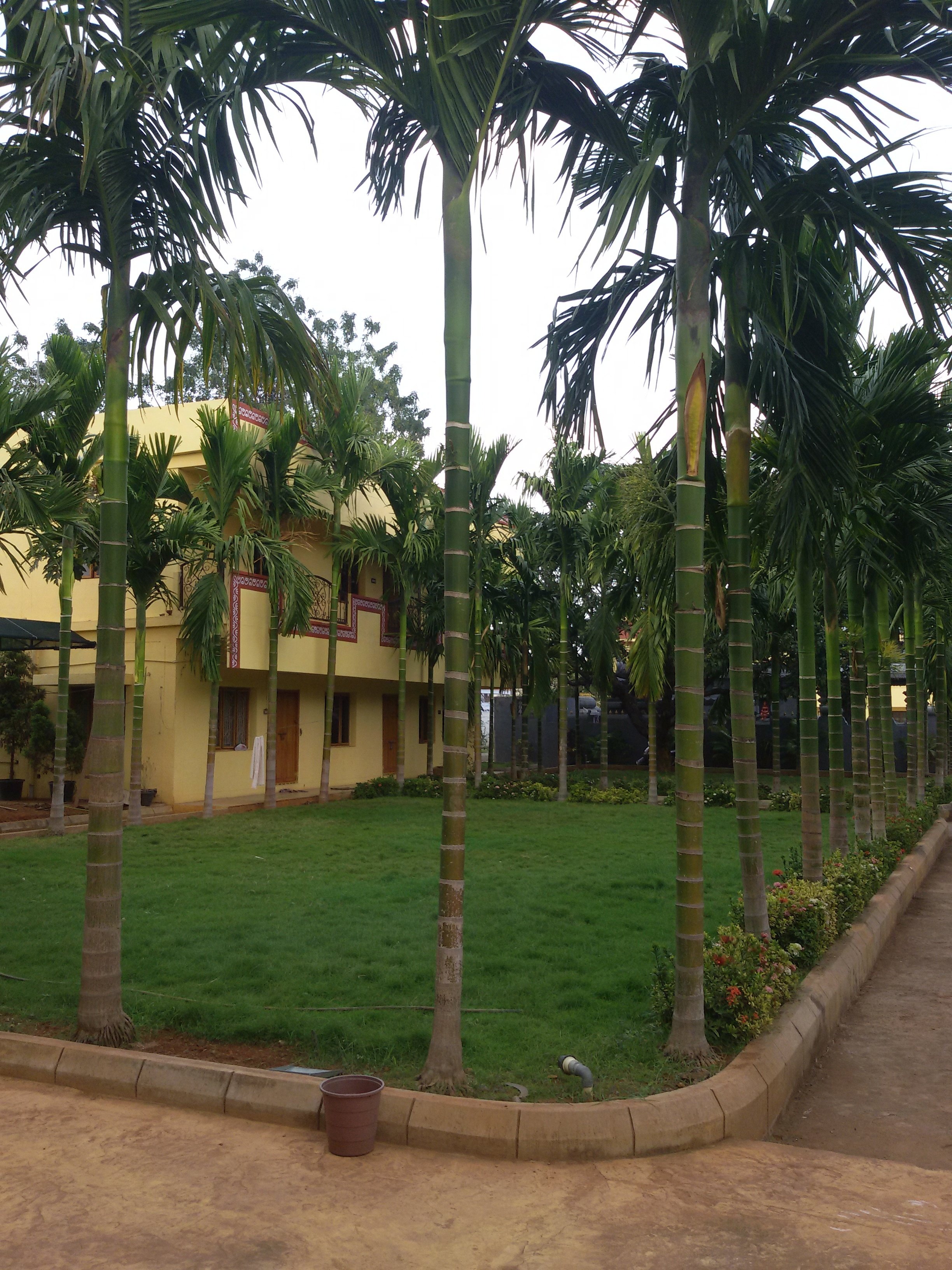 VGC Landscape Project 261