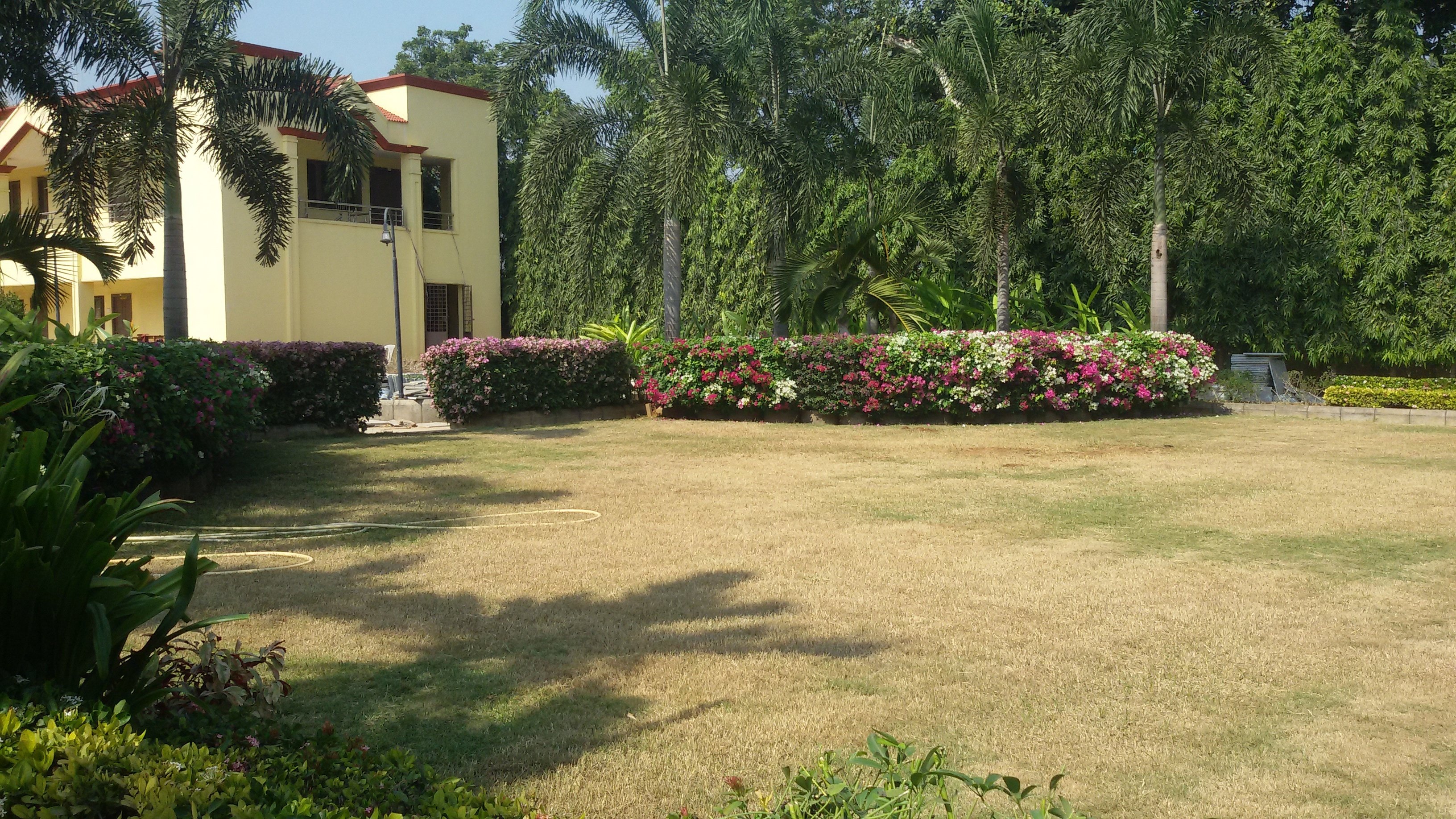 VGC Landscape Project 269