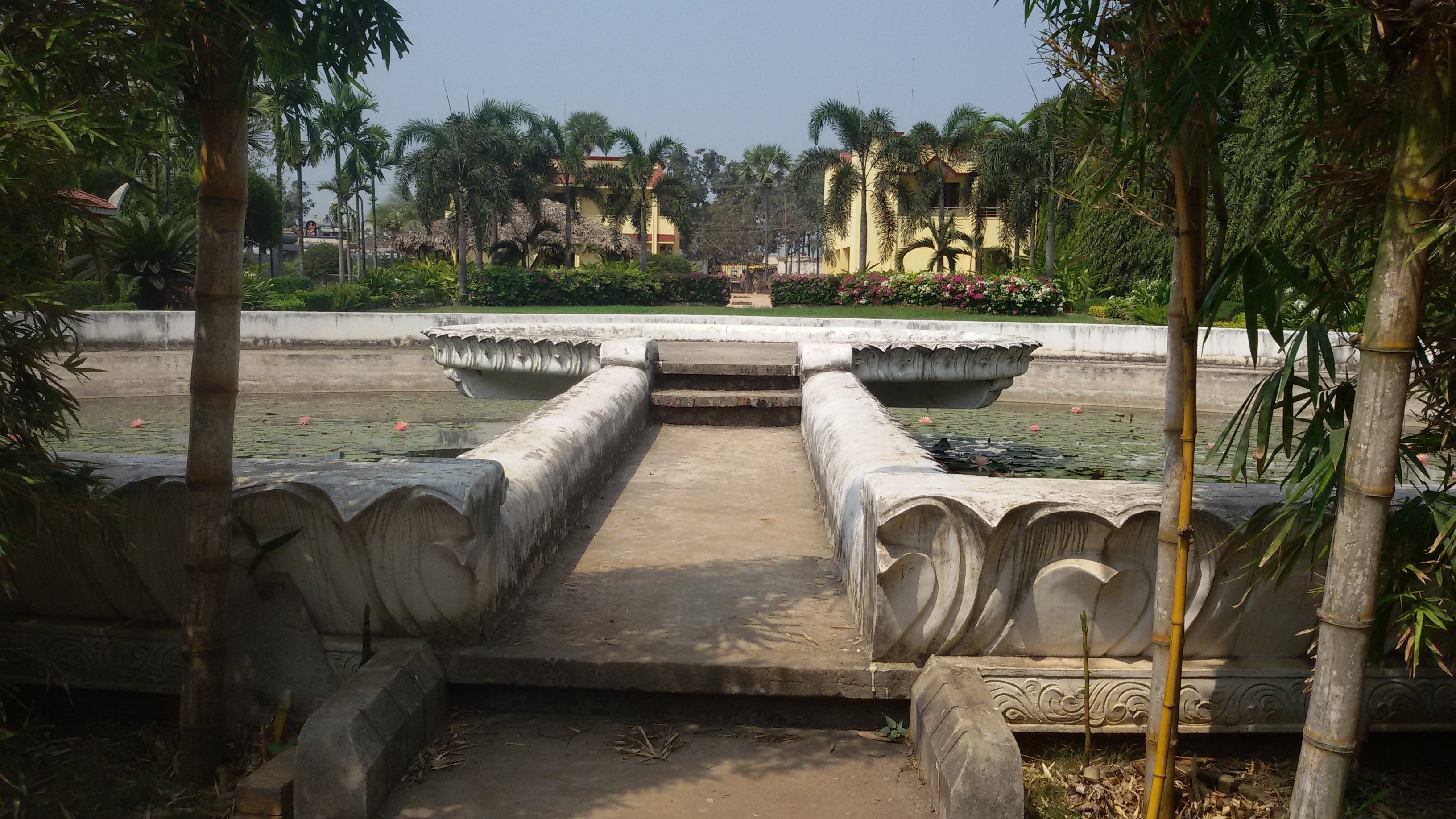 VGC Landscape Project 270