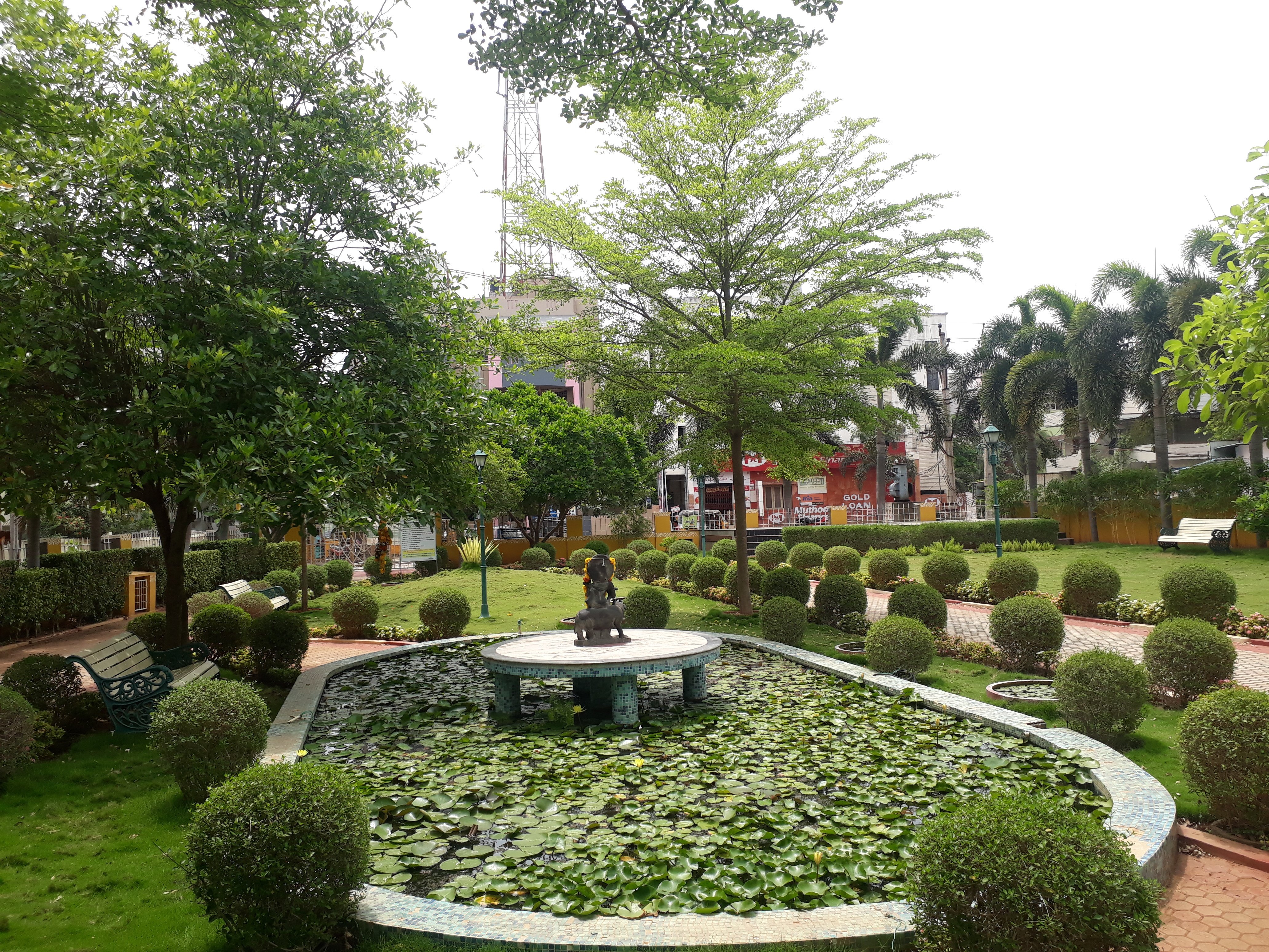 VGC Landscape Project 274