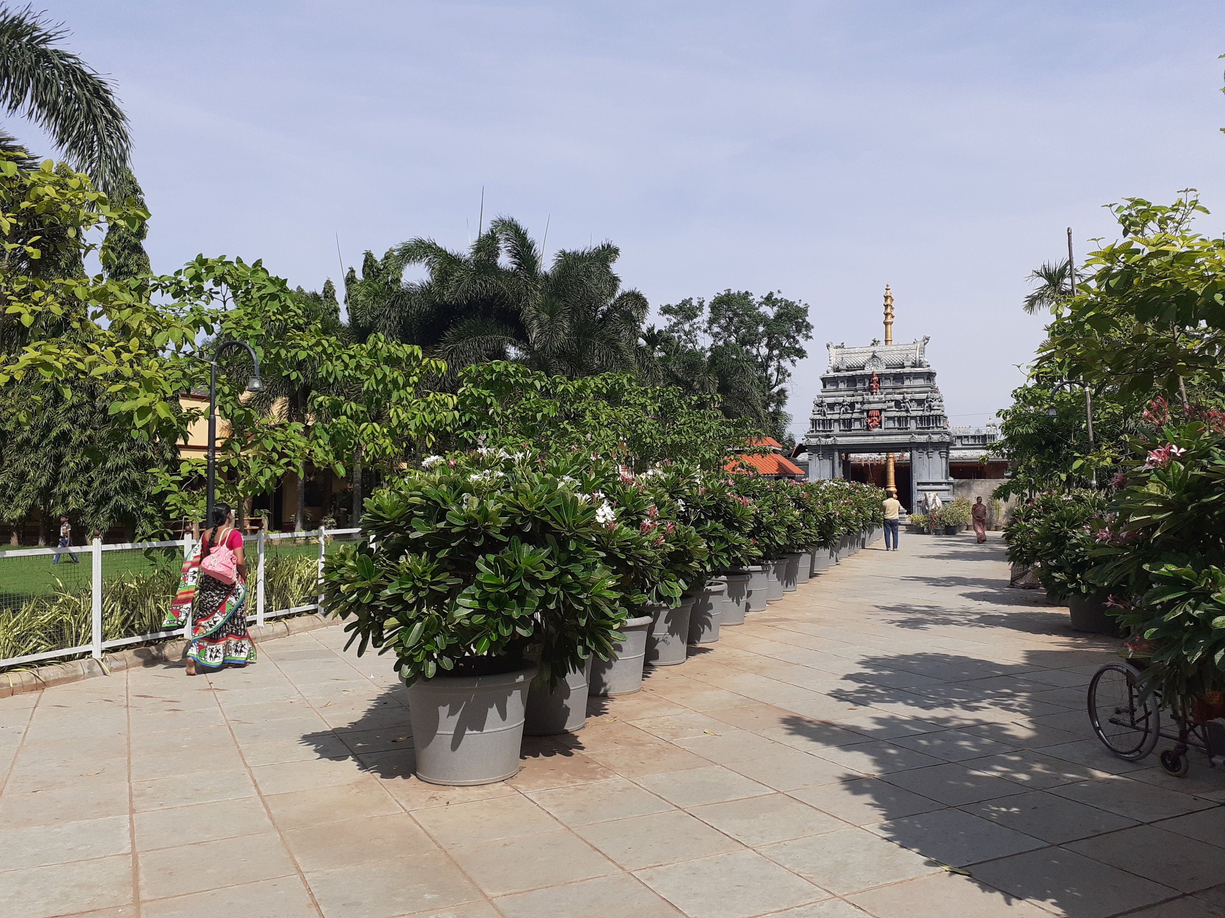 VGC Landscape Project 277