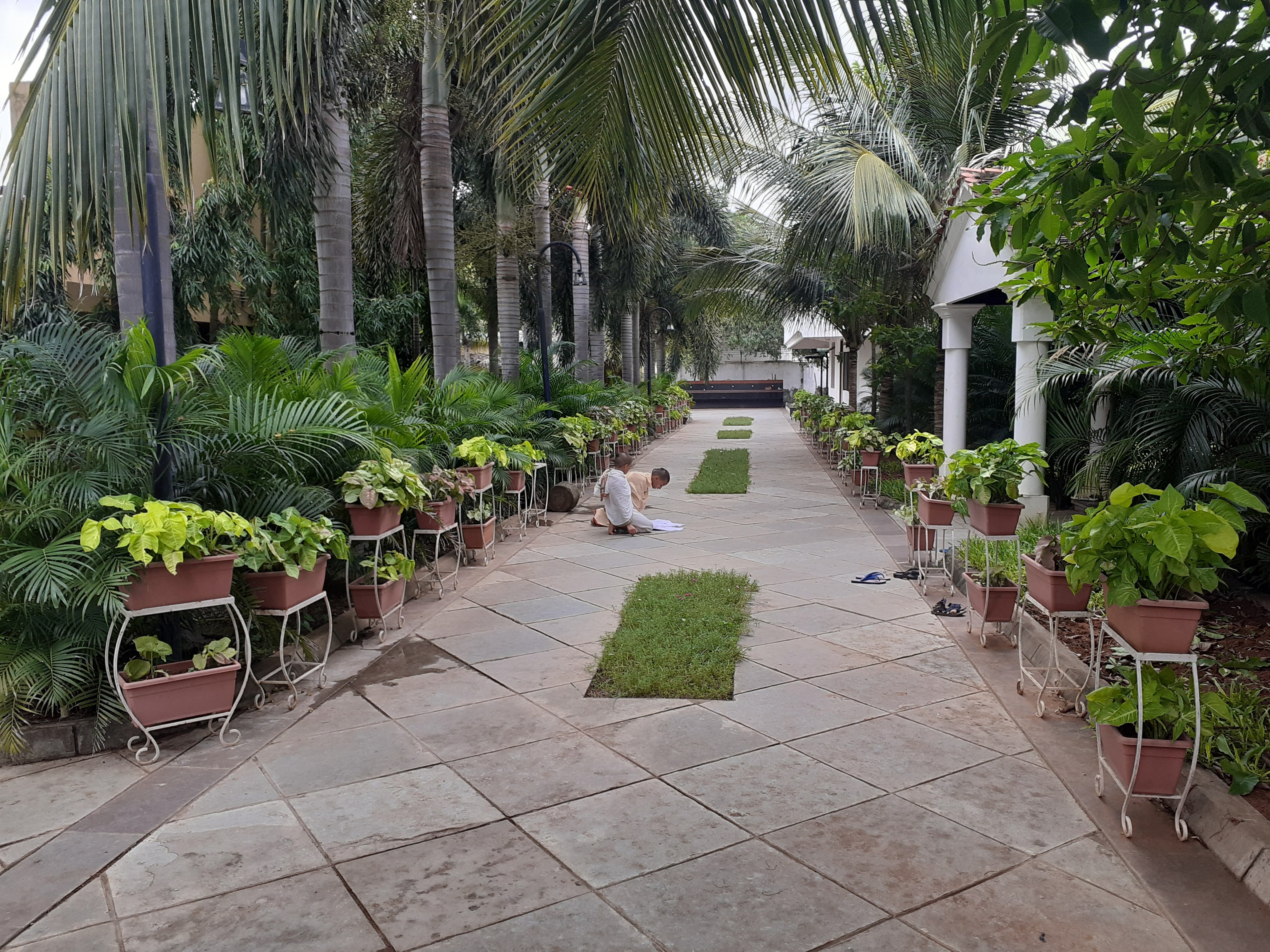 VGC Landscape Project 279