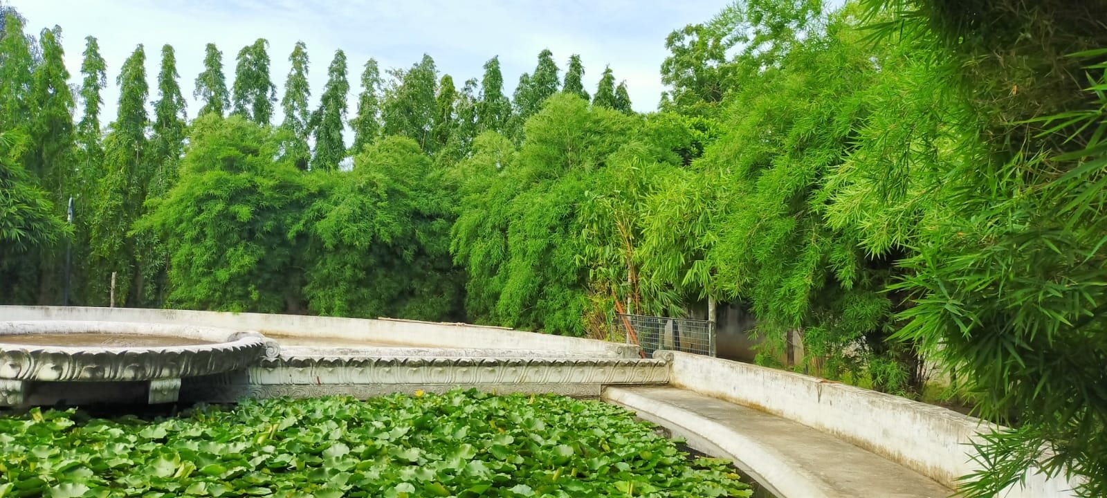 VGC Landscape Project 284