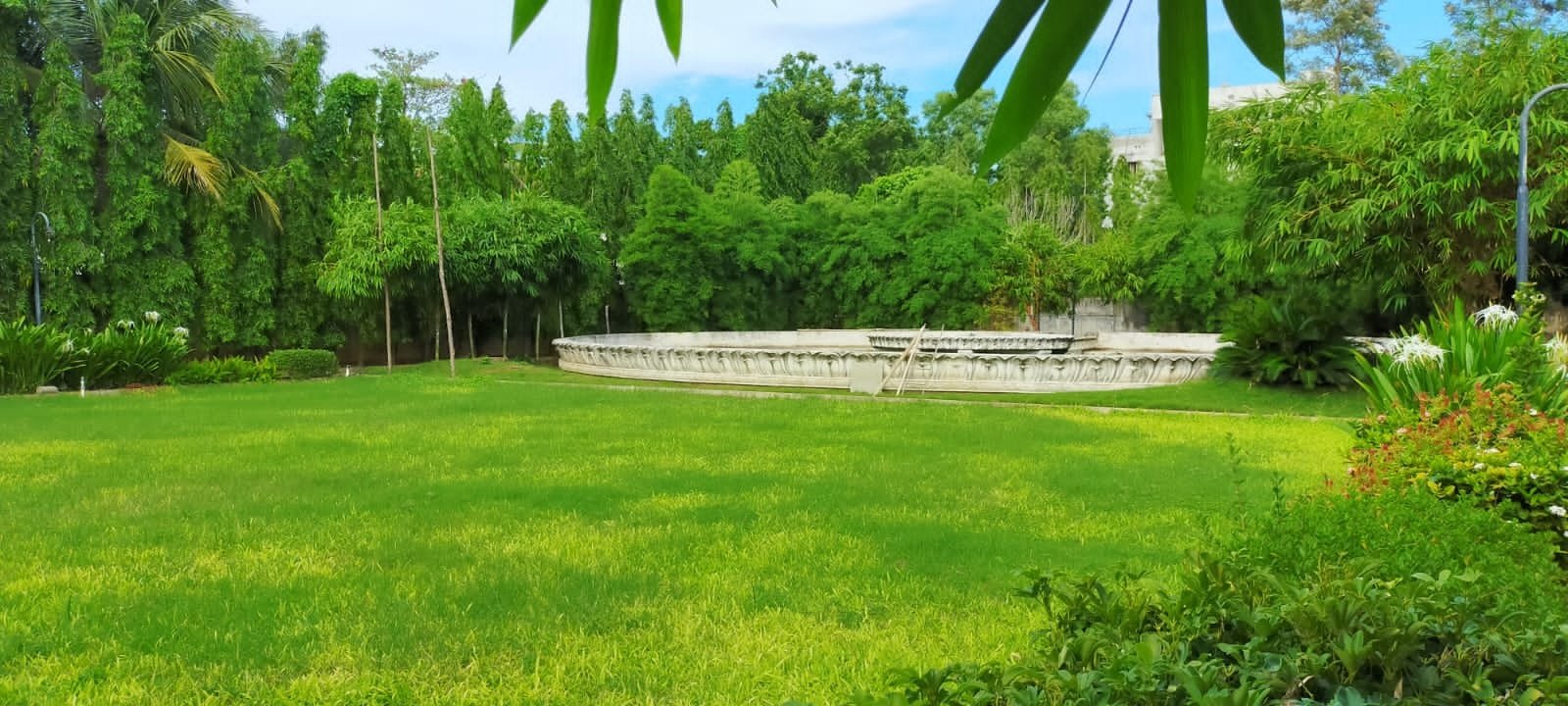 VGC Landscape Project 285