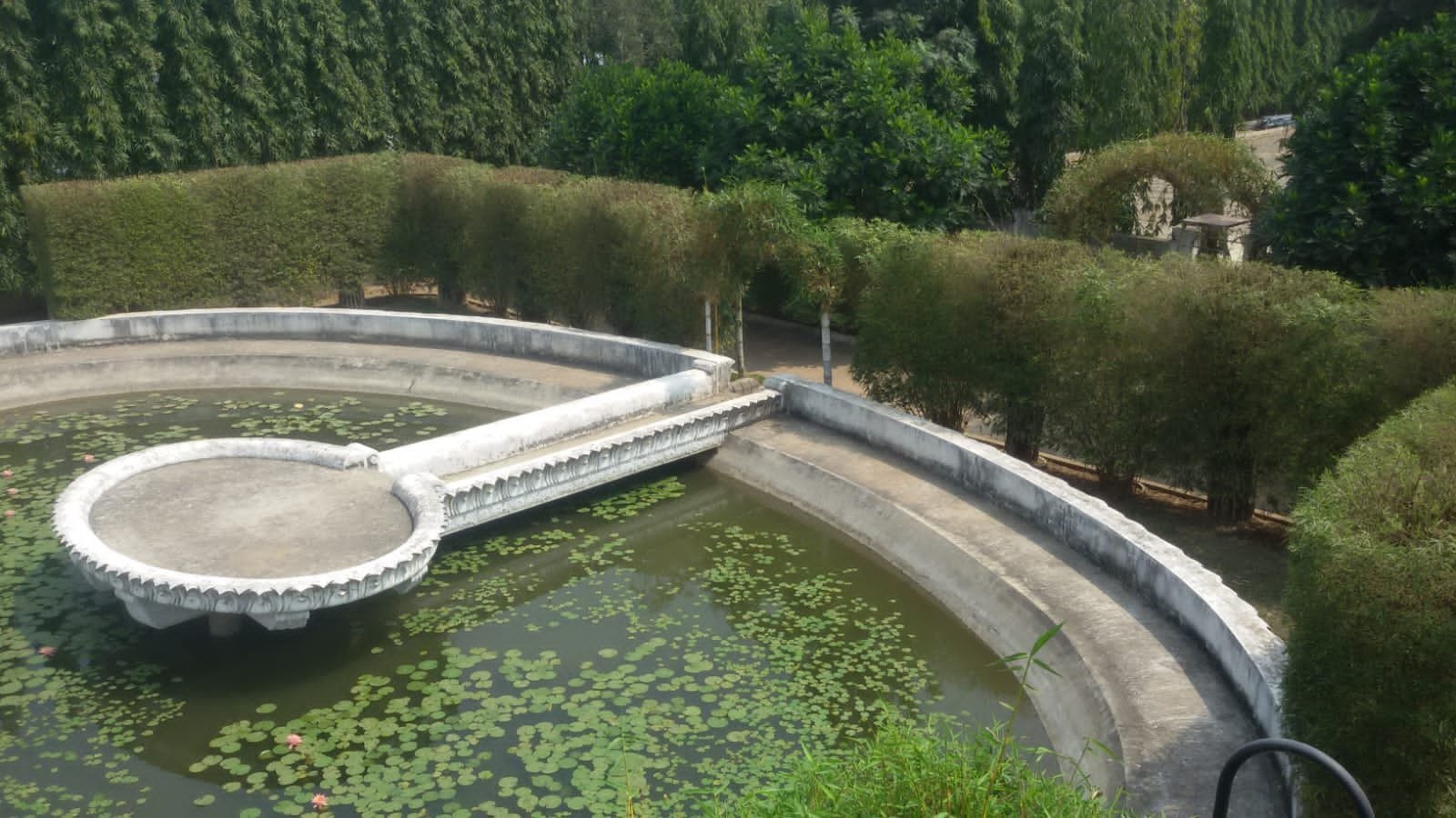 VGC Landscape Project 286